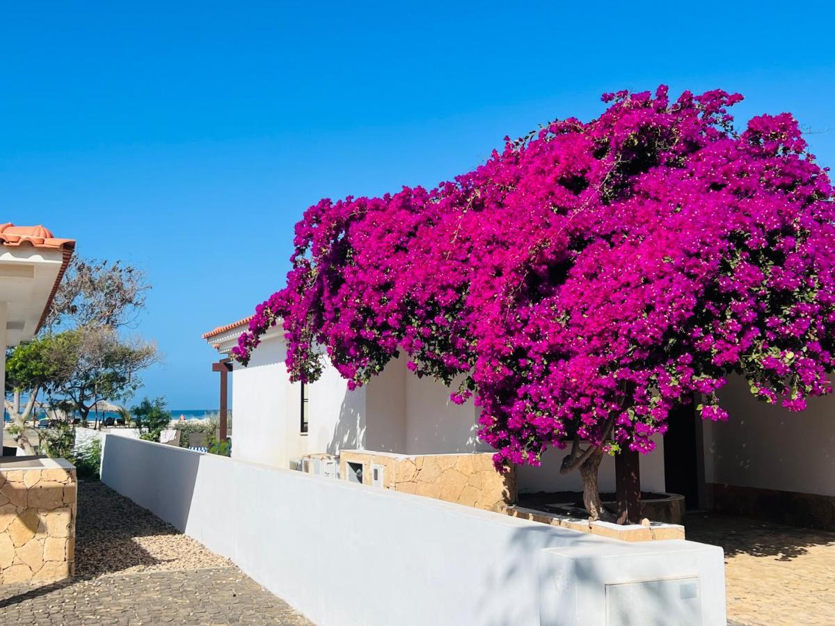 Villa With Privat Pool Near Beach Santa Maria Sal Kap Verde Esterno foto